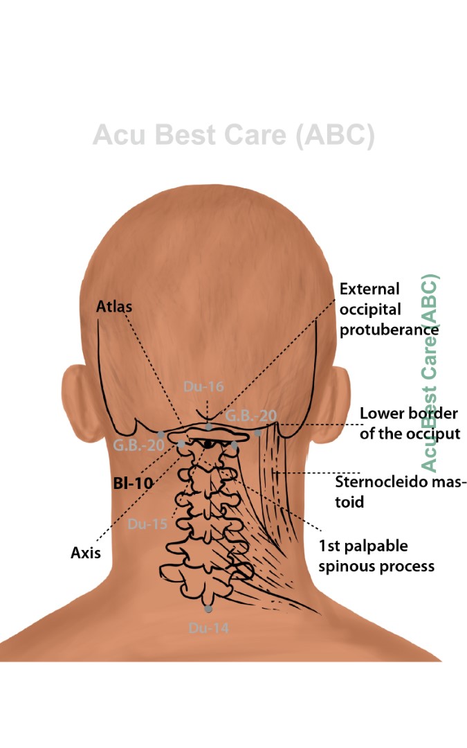 Acubestcare Meridian UB-10 or BL-10